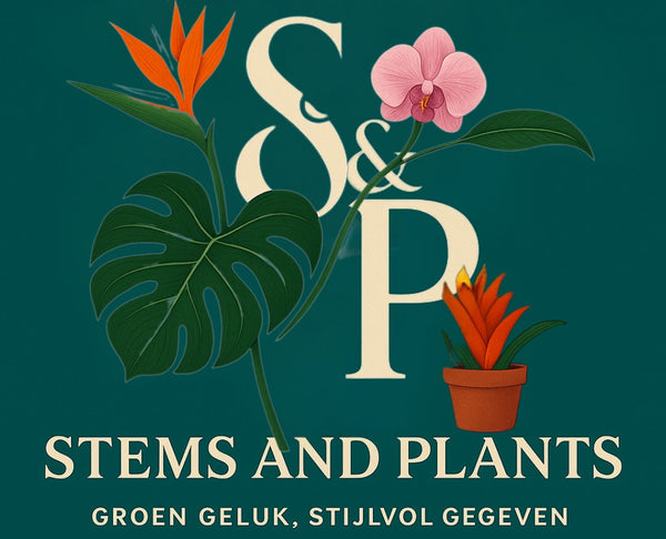 Stems and Plants
