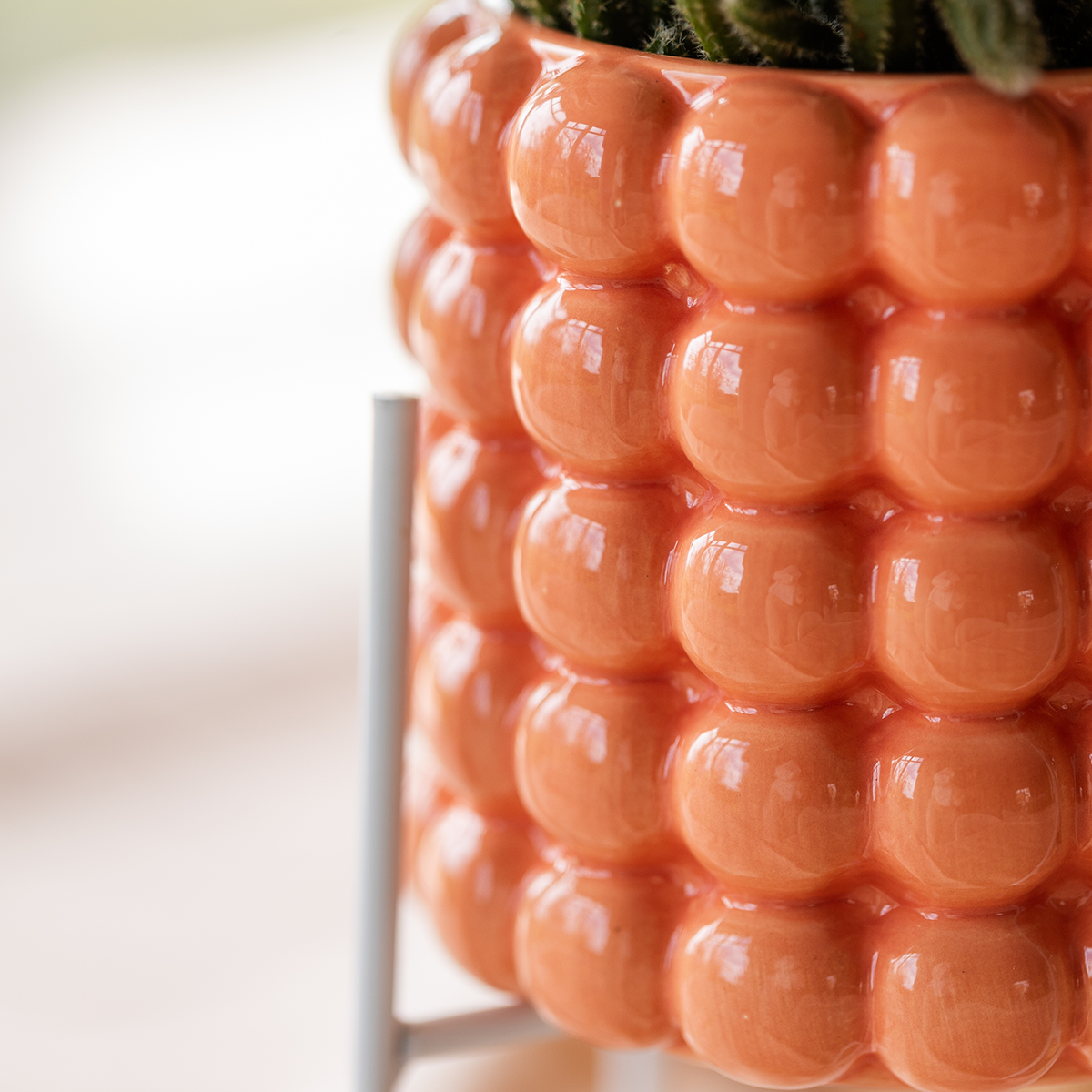 Kolibri Orchids | Poppy Orange Nazare Plant Set | White Nazare Orchid Ø9 cm + Green Plant Ø6 cm incl. decorative pots – fresh from the grower